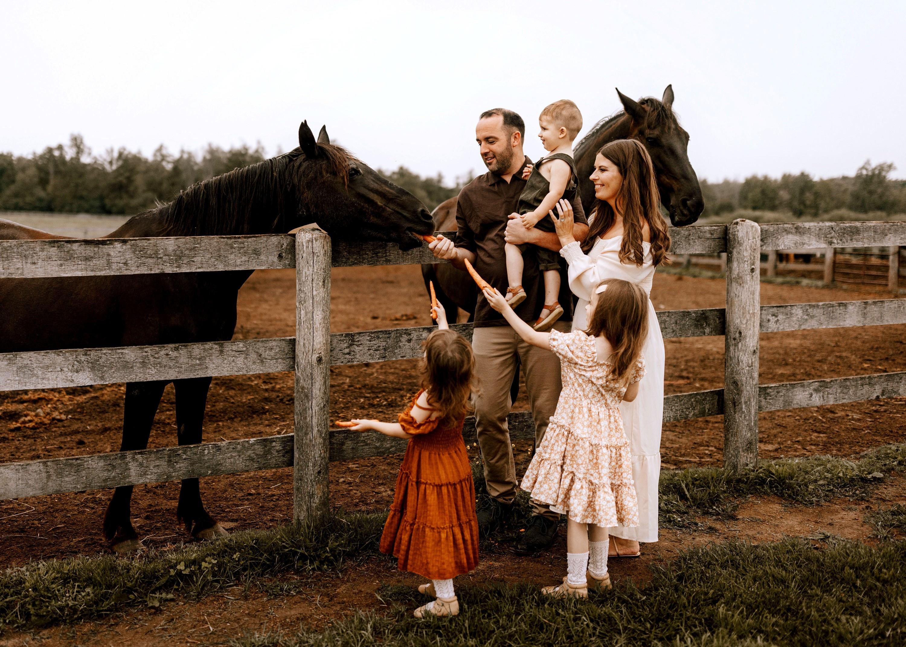 carousel-hero-element image-1