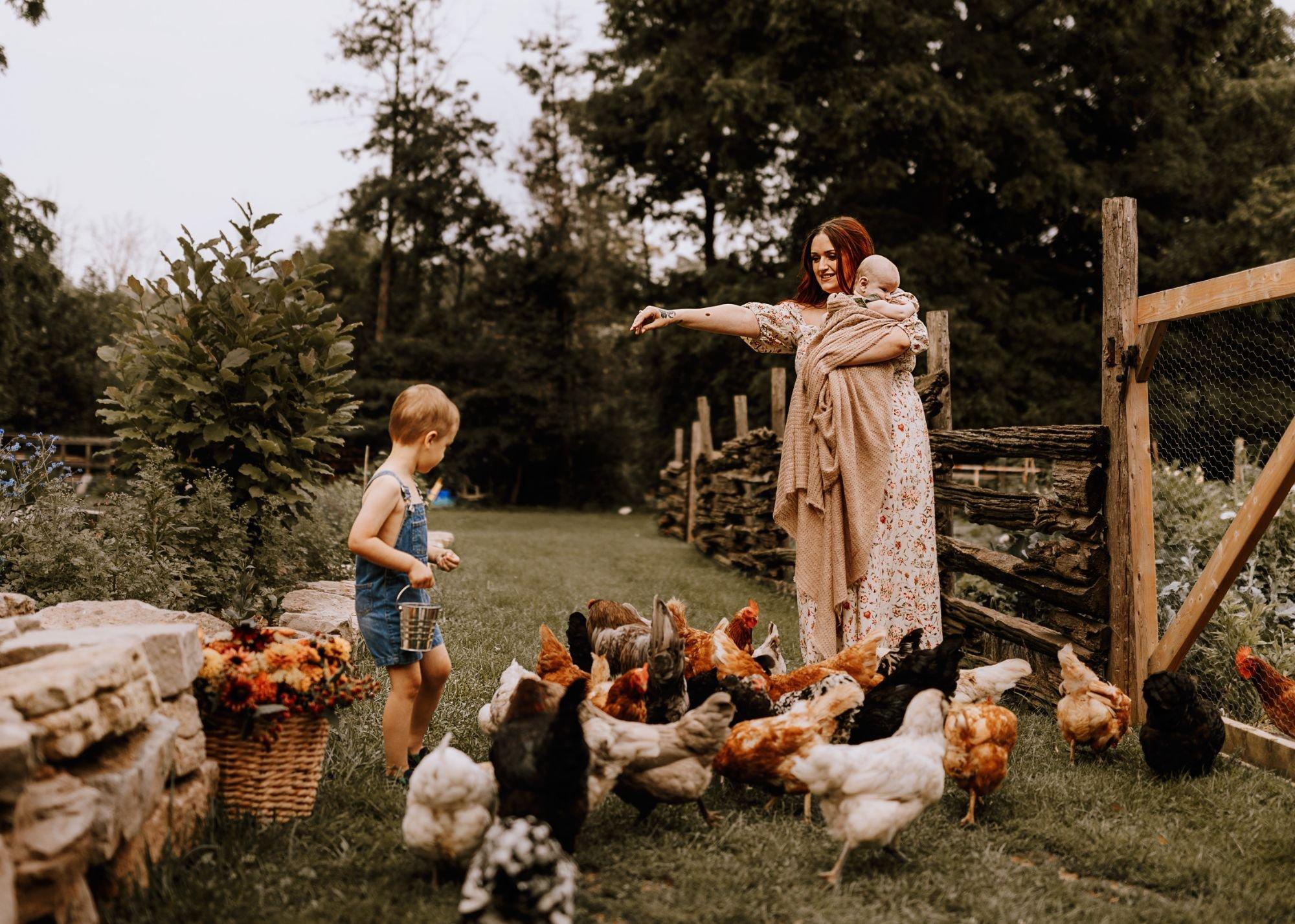 carousel-hero-element image-5