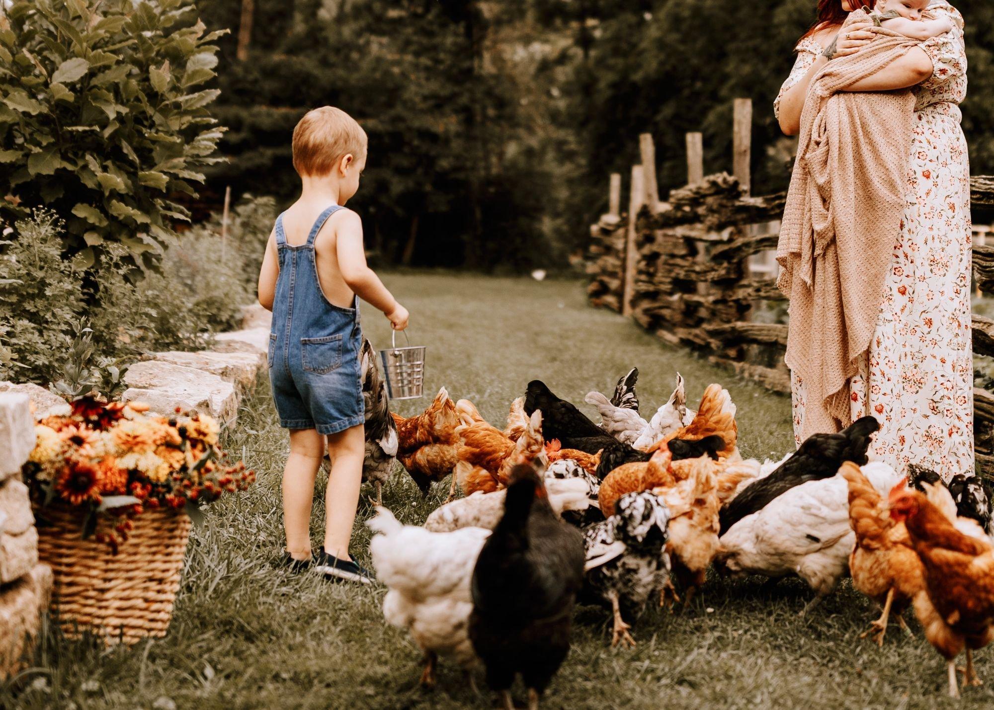 carousel-hero-element image-6