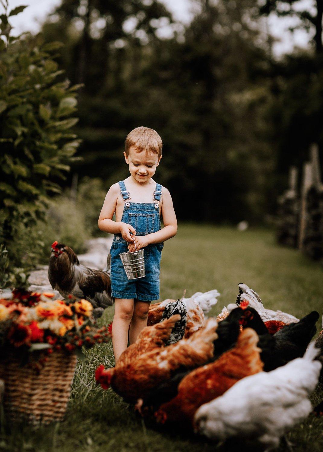 carousel-hero-element image-3